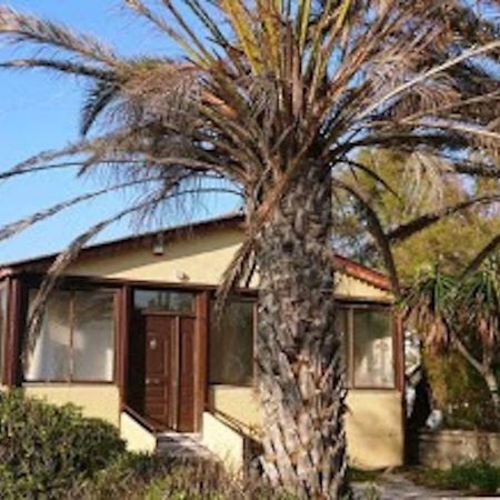 ארטמידה Summerhouse Peggy: Close To Athens Airport By The Sea מראה חיצוני תמונה