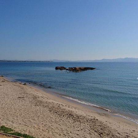 ארטמידה Summerhouse Peggy: Close To Athens Airport By The Sea מראה חיצוני תמונה