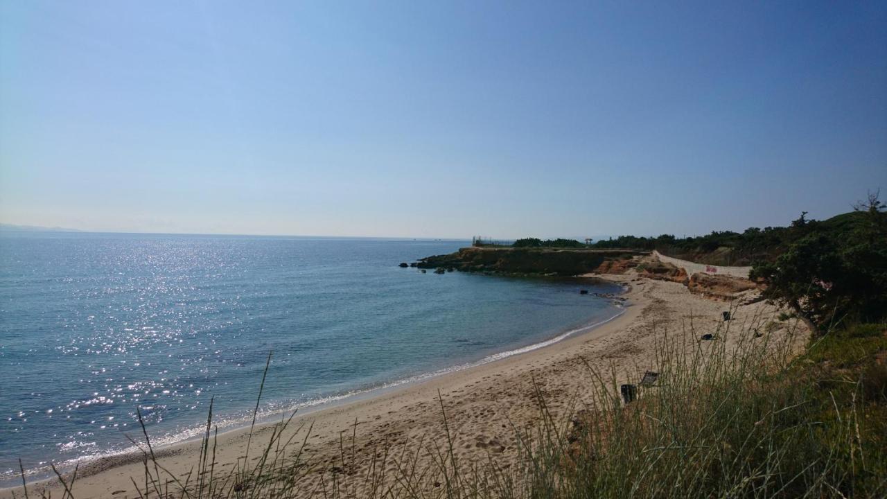 ארטמידה Summerhouse Peggy: Close To Athens Airport By The Sea מראה חיצוני תמונה