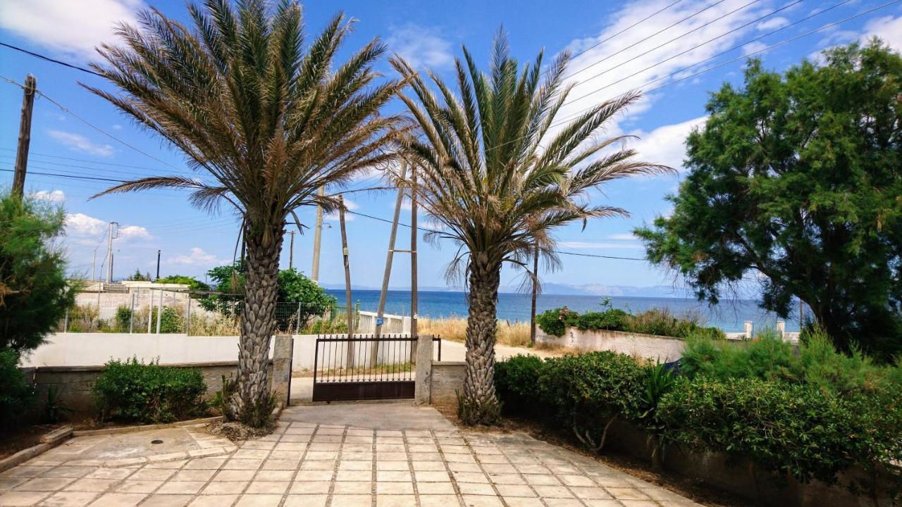 ארטמידה Summerhouse Peggy: Close To Athens Airport By The Sea מראה חיצוני תמונה